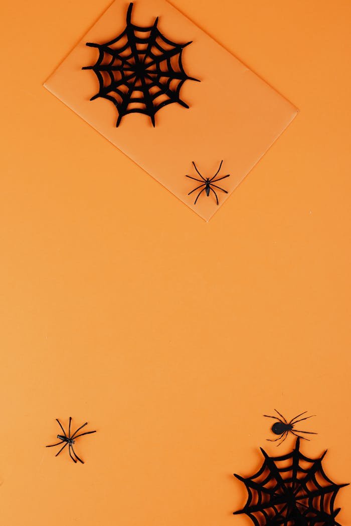 Decorative spider webs and spiders on an orange backdrop, perfect for Halloween themes.
